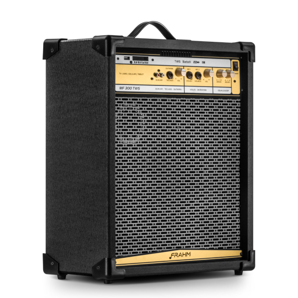 CAIXA AMPLIFICADA MULTIUSO - MF 300 TWS - Image 3